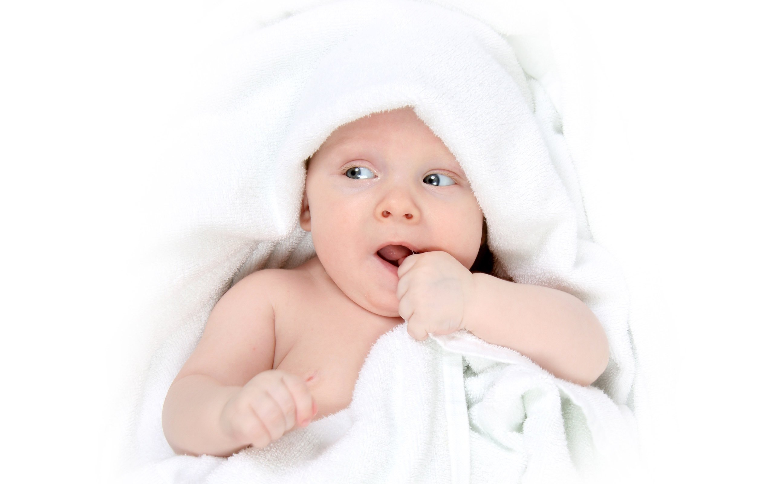 大连供卵代生试管婴儿受精卵着床成功率